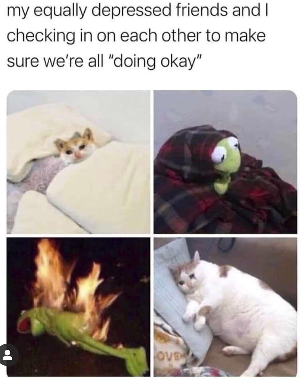This meme is a humorous take on the idea of checking in with friends who are feeling down or depressed. The image shows a series of cat pictures with humorous captions, but the main text is: "my equally depressed friends and I checking in on each other to make sure we're all 'doing okay'". The image is a lighthearted way to poke fun at the idea that even when we're feeling down, we still want to check in with our friends to make sure we're all doing okay.
